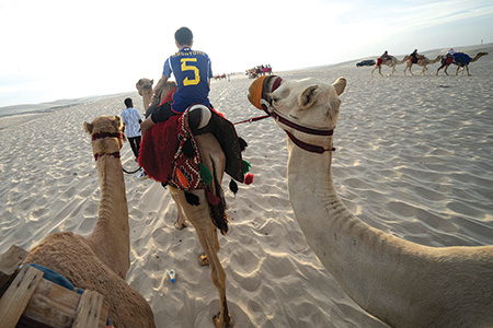 100만 관광객 찾은 카타르… 월드컵 특수 맞았지만 애꿎은 낙타만 혹사
