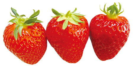 일본 컬링팀도 반한 우리 딸기(2)  딸기는 채소일까, 과일일까?