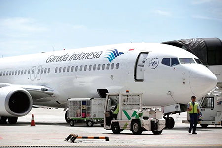 인도네시아, ‘팜유’ 섞인 항공유로 첫 상업 비행 성공… “탄소배출 줄일 것”