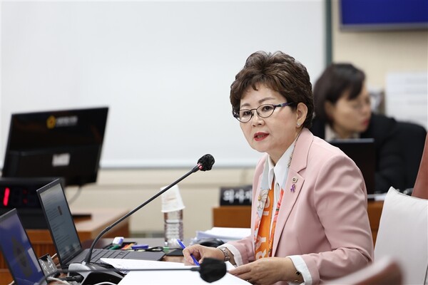 왕정순 서울특별시의회 의원, 유산·사산 직접 재정 지원해야