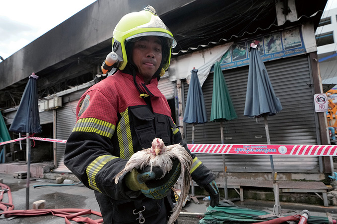 방콕 시장에서 대형 화재, 동물 수백 마리 숨져