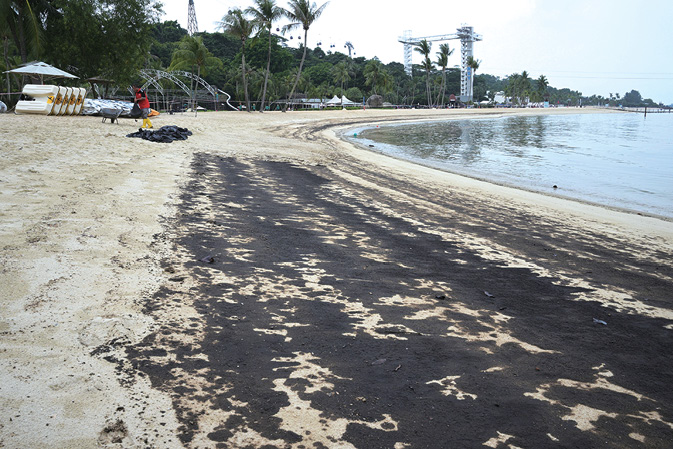 기름띠로 범벅된 싱가포르 해변