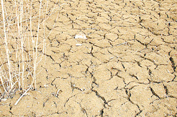 한반도 봄가뭄… 일반적 현상 VS 에어로졸 탓