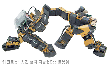 태권로봇 “얍!”… KAIST ‘지능형로봇 워’ 개최