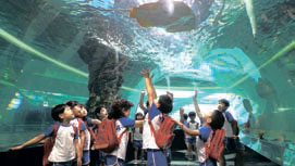 [뉴스 브리핑]‘4D로 해저체험’ 국립해양박물관 문 열다