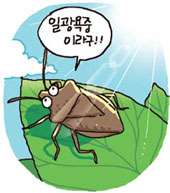 [Science & IT]곤충도 건강 위해 일광욕 한다!