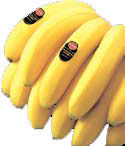 [뉴스 브리핑]미래엔 ‘바나나’가 대세