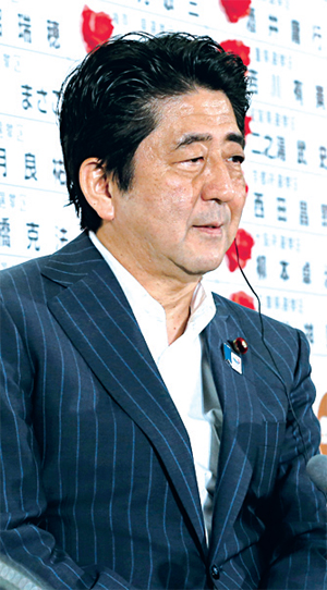 [뉴스 브리핑]일본 참의원 선거, 자민당 승리