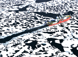 [뉴스 브리핑]아라온호, 북극 동시베리아 해 빙상 흔적 발견