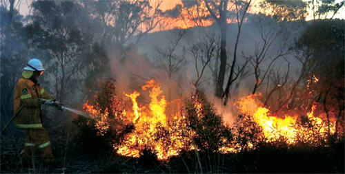 [뉴스 브리핑]호주 산불, 비상사태 선포