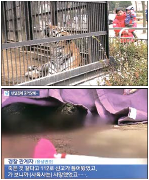 [뉴스 브리핑]서울대공원 호랑이, 사육사 덮쳐