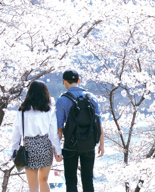 [뉴스 브리핑]“서울에 벚꽃이 벌써 폈네?” 지난해보다 18일 빨라