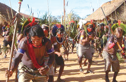 [뉴스 쏙 시사 쑥]아마존 원주민, 외부와 단절시켜야 보호될까?