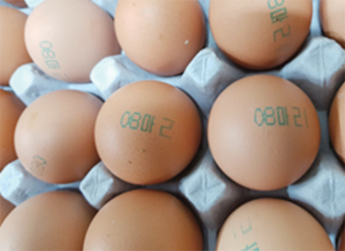 [오늘의 뉴스]Q&A로 본 ‘살충제 달걀’
