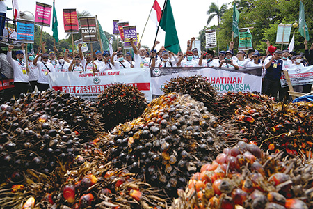 ‘팜유 수출 금지 철회’ 요구하는 인도네시아 농민들