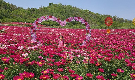 [이 주의 BEST 새싹]꽃향기 ‘폴폴’ 풍기는 축제 가볼까?