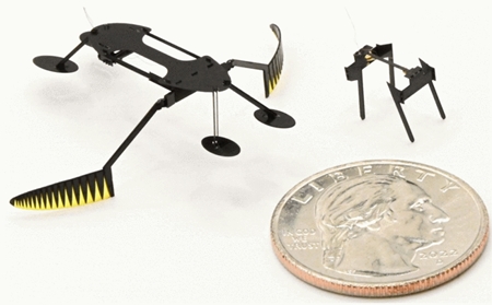 작지만 빠르다!… 수분 활동하는 초소형 곤충 로봇 개발돼 