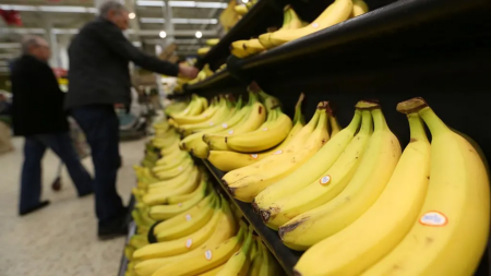 기후변화로 바나나 생산량 줄어… 가격 크게 오른다 