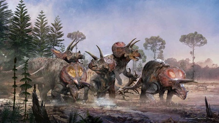 뿔 세 개 달린 초식공룡  ‘트리케라톱스’, 무리 지어 집단생활했다