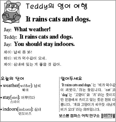 [Teddy의 영어 여행]It rains cats and dogs.
