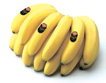 [뉴스 브리핑]망고, 바나나… 수입과일 가격 껑충