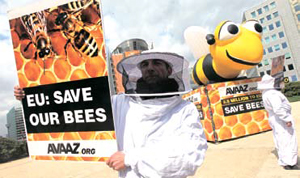 [뉴스 쏙 시사 쑥]꿀벌 없으면 인류 4년 안에 멸망?
